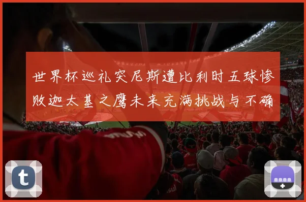 世界杯巡礼突尼斯遭比利时五球惨败迦太基之鹰未来充满挑战与不确定性