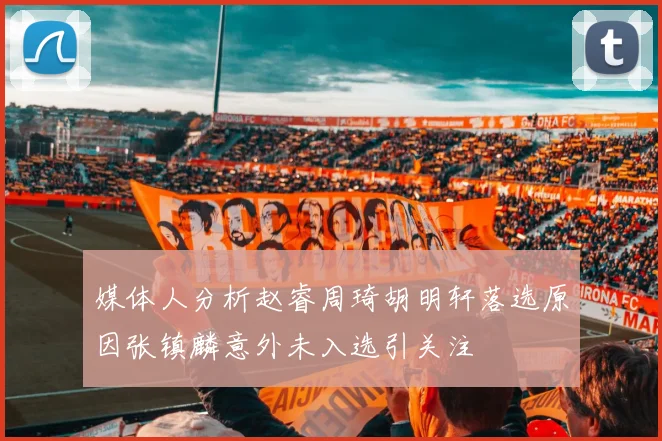 媒体人分析赵睿周琦胡明轩落选原因张镇麟意外未入选引关注