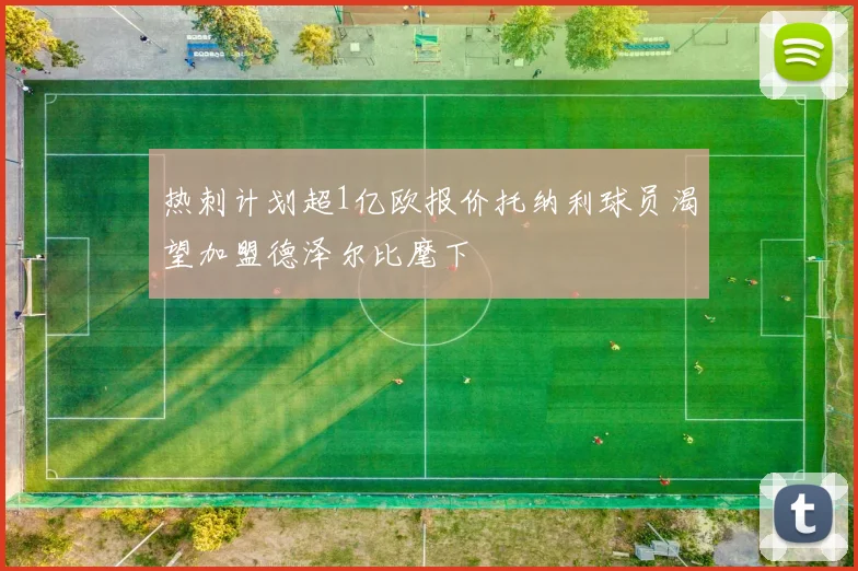 热刺计划超1亿欧报价托纳利球员渴望加盟德泽尔比麾下